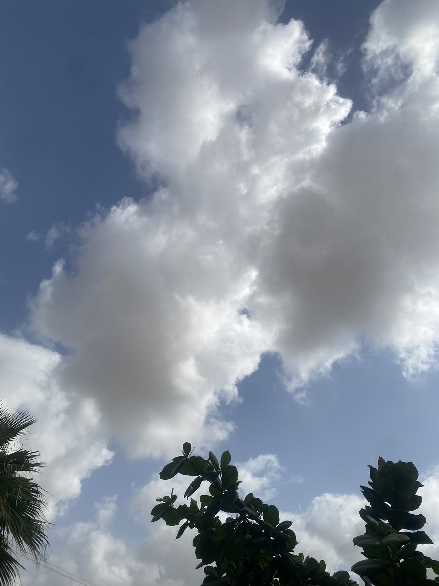 يا ياررووعة الجوو 🥰
يسعدلي صباحكم بكل خير 🌷🌷