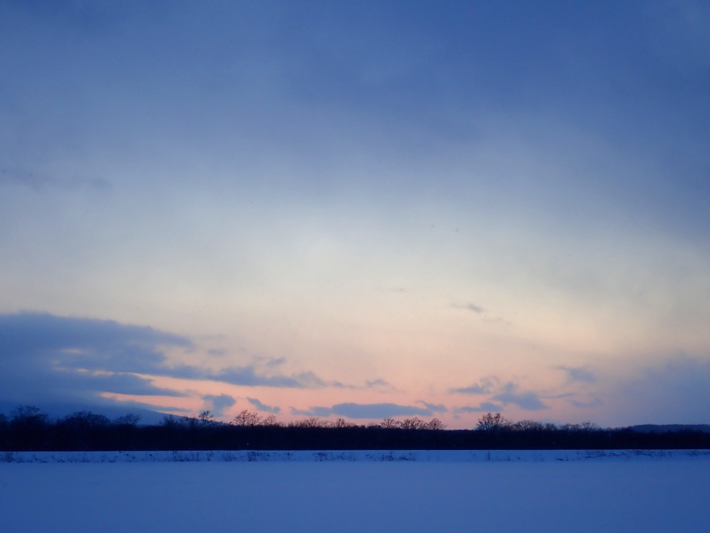 夜がくる。そのちょっと前の空の色が好き。