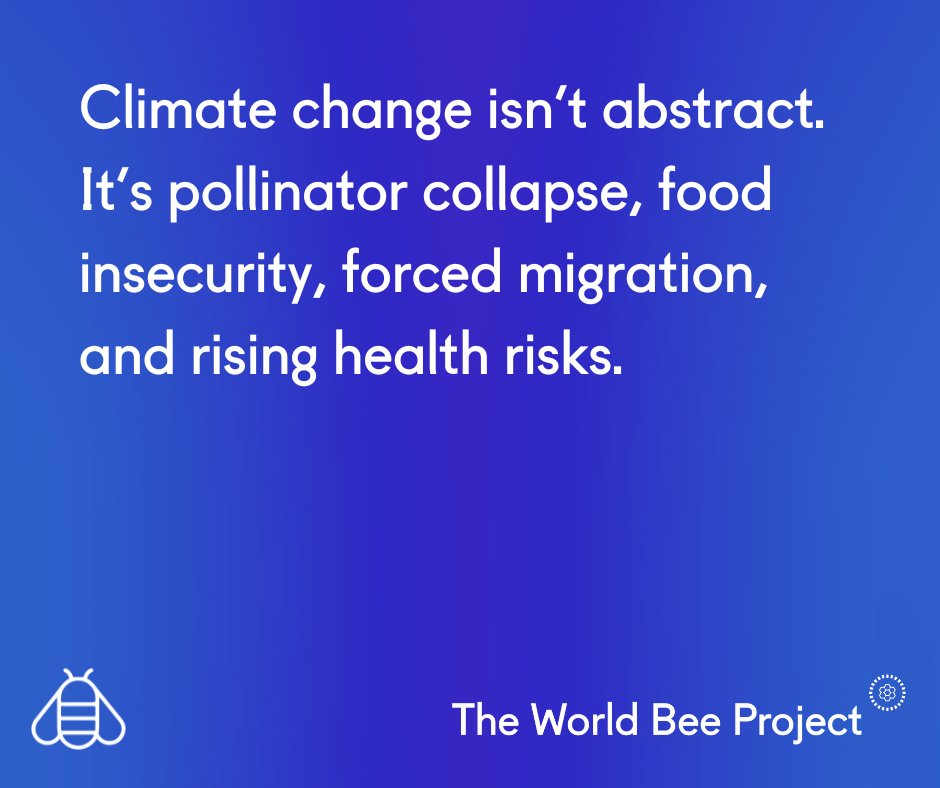 The World Bee Project CIC tweet media