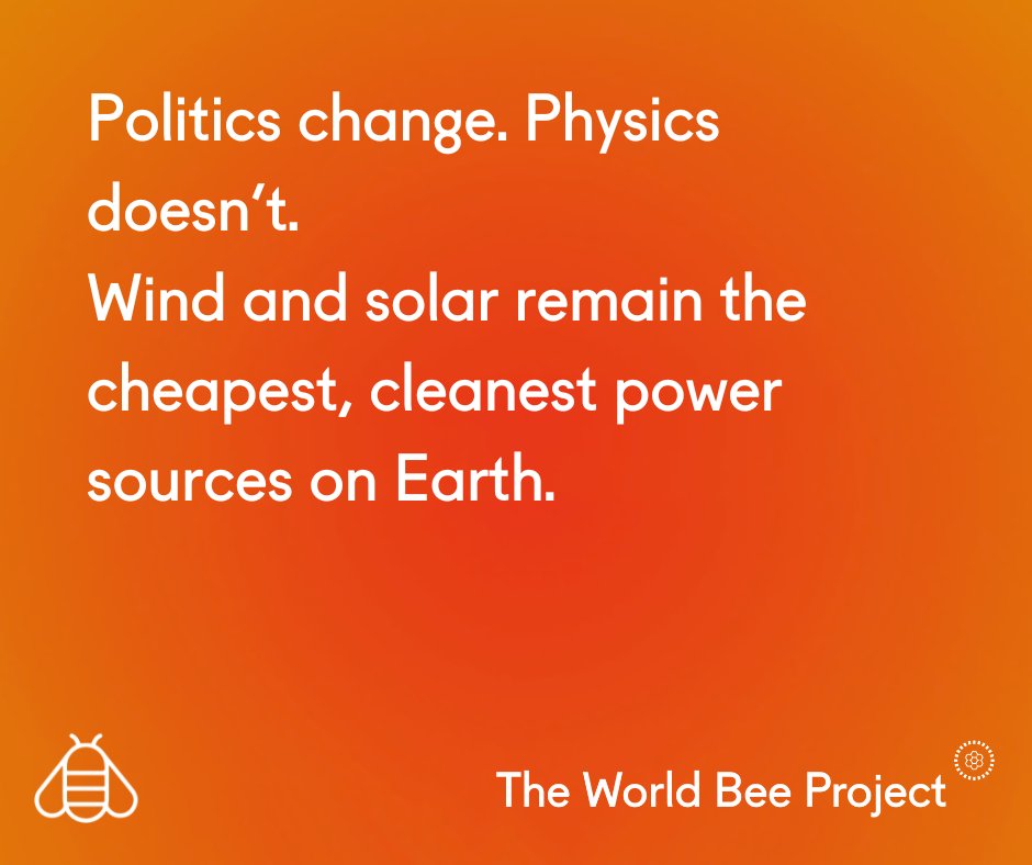 The World Bee Project CIC tweet media