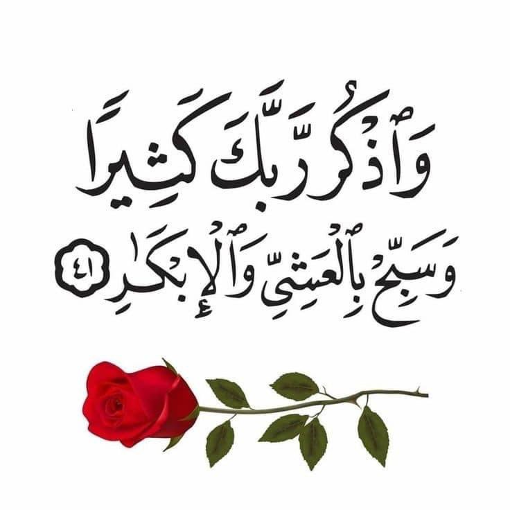 AbidShah99's tweet photo. میں خدا کو سناتا ہوں حال دل اپنا
میں زمین والوں پر اب بھروسہ نہیں کرتا 🥹❤️
صباح الخیر ،#XPromo
#داستان_دل #قومی_زبان https://t.co/HkJZKjmYJM