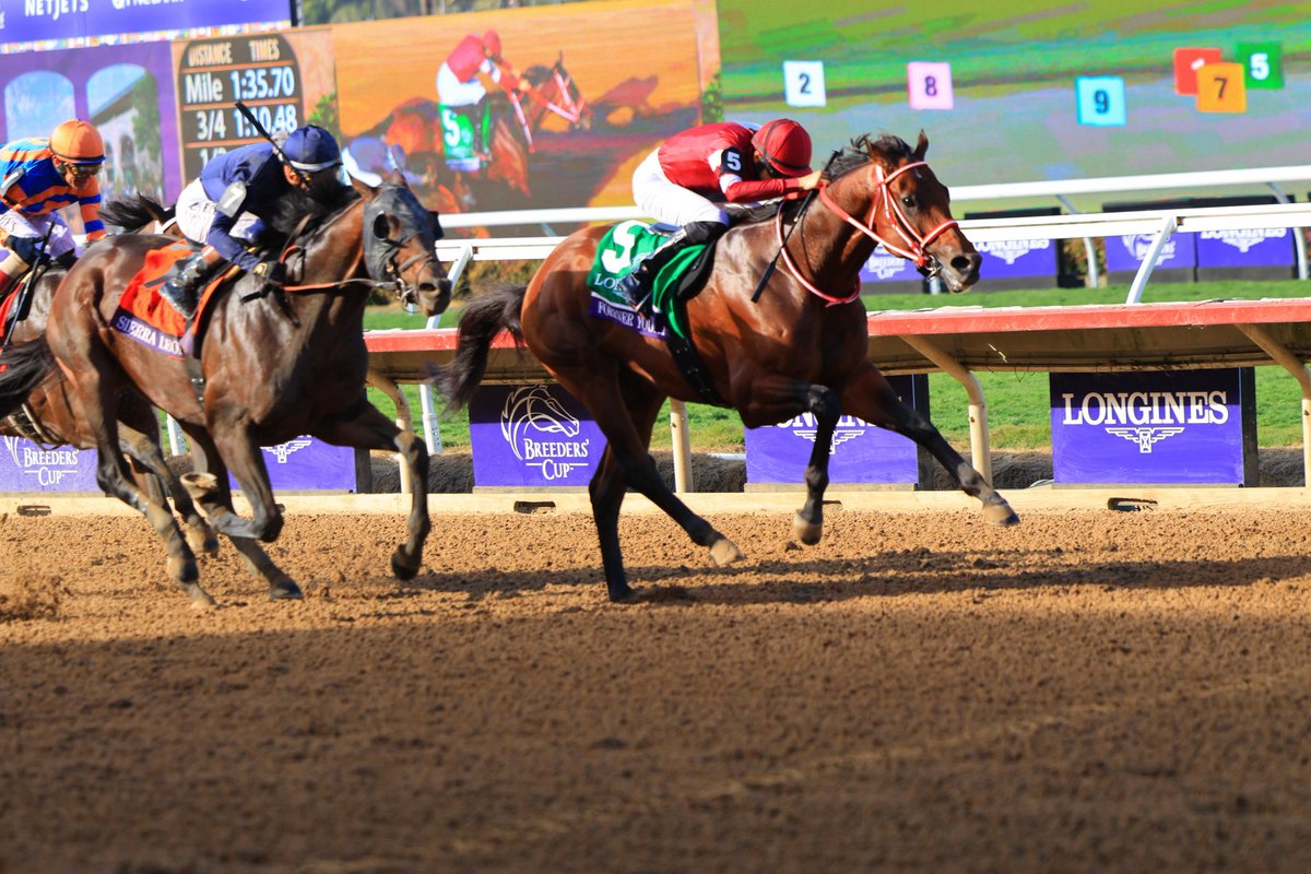 _RYUSEI_0531's tweet image. 2025年度JRA賞 
年度代表馬
最優秀4歳以上牡馬
最優秀ダートホース

フォーエバーヤング