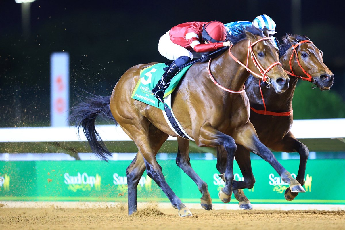 _RYUSEI_0531's tweet image. 2025年度JRA賞 
年度代表馬
最優秀4歳以上牡馬
最優秀ダートホース

フォーエバーヤング