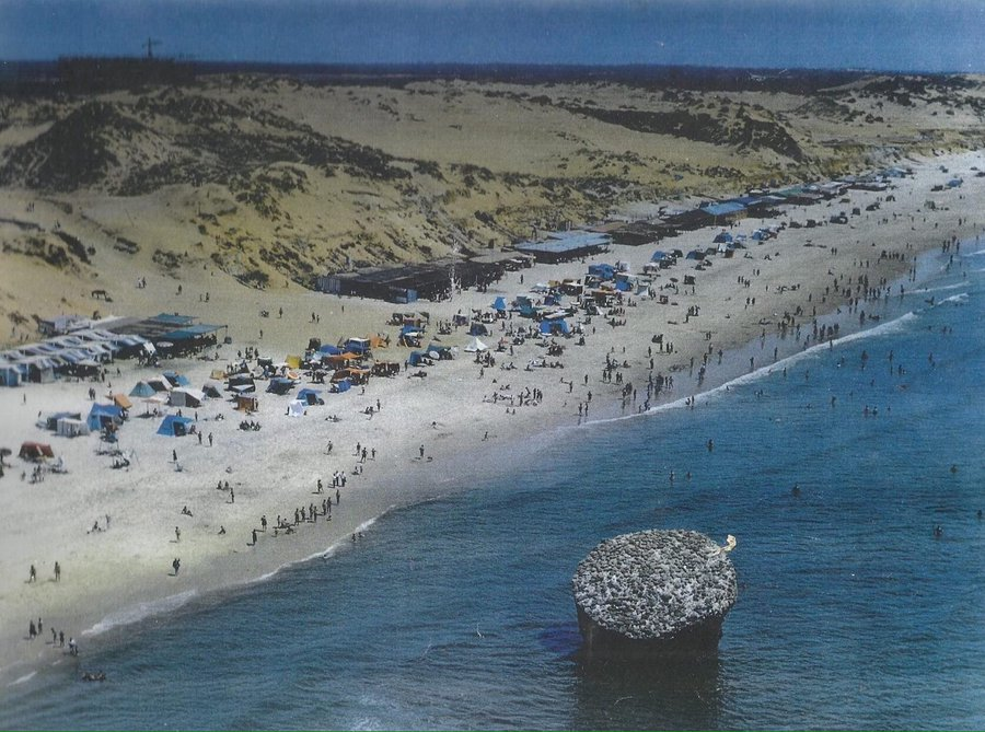 Matalascañas: el mar no firma hipotecas.

Quienes conocimos aquella Higuerita —como se la llamaba en los años sesenta— sabemos que Matalascañas fue, durante un breve y frágil instante, un paraíso casi virgen en el corazón del entorno de Doñana. Dunas móviles, cañas, fauna y el