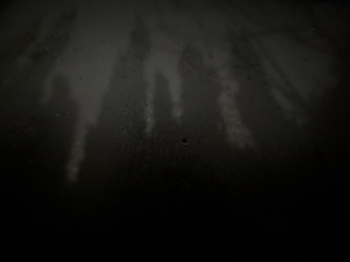 mudled's tweet image. 