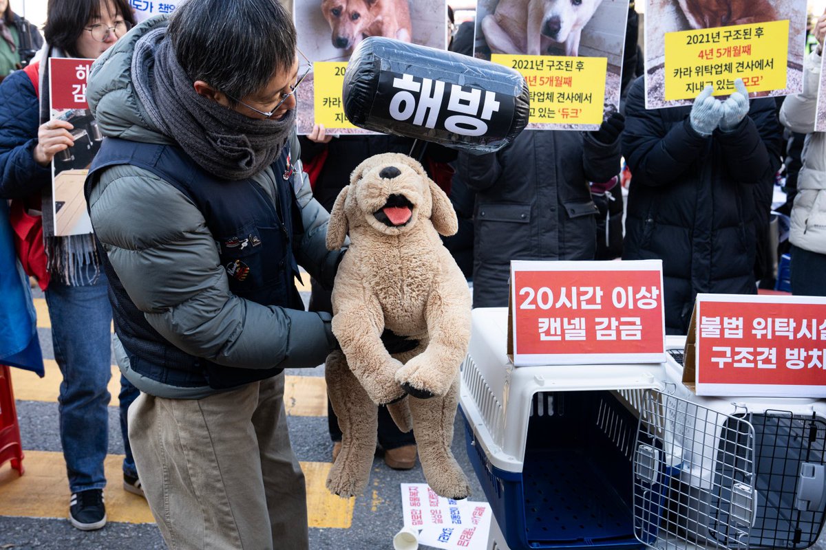 위탁처에 있는 개들이 더 죽기 전에 해결하십시오...