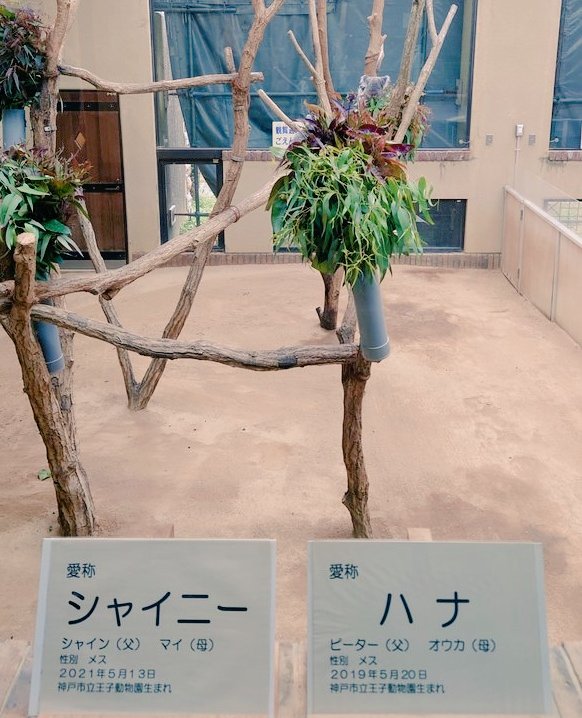 ご指摘を受けました
シャイニーちゃんのお隣はハナちゃんでした
初歩的ミスすみません💦💦💦