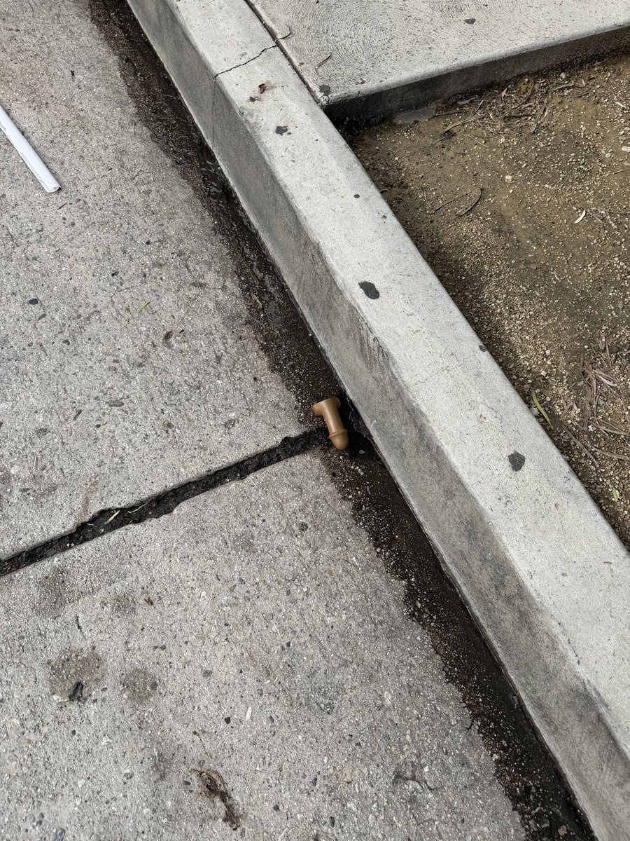 𝖆𝖓𝖉𝖞 tweet media