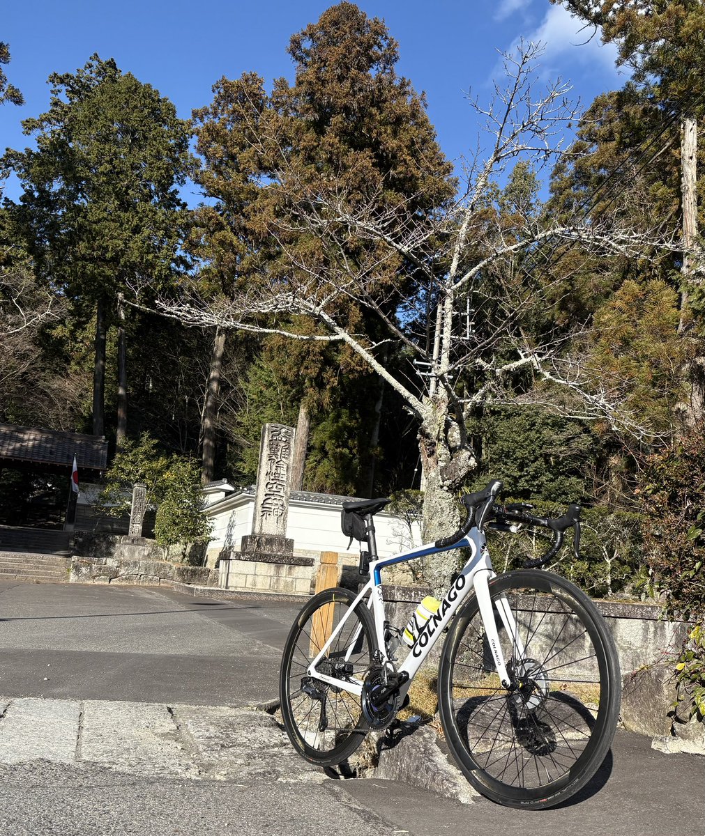 星野貴大 tweet media