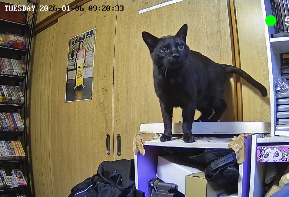 よっさん & 黒之 (@Yossan_Kuroyuki) / Posts / X