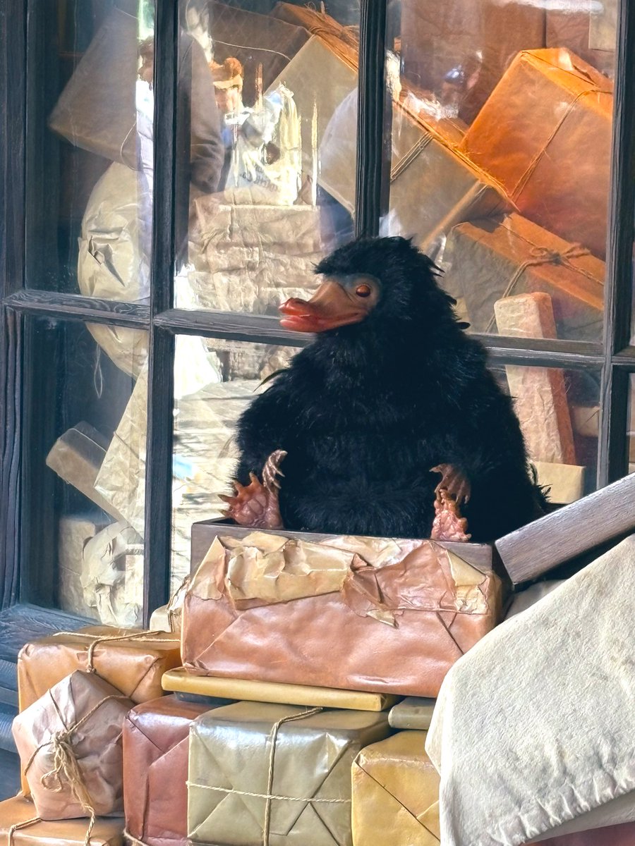 🪄💎ニフラー探したけどみつからなかったので羨ましいです🫶🏻🥹💖💕