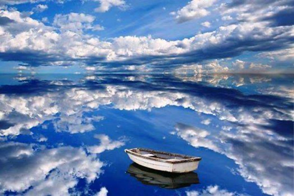 Greg Wilson tweet media