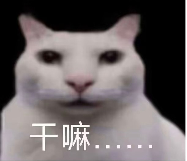 Aogiri0219's tweet photo. @CN_cyz https://t.co/QGcBBLwPjB