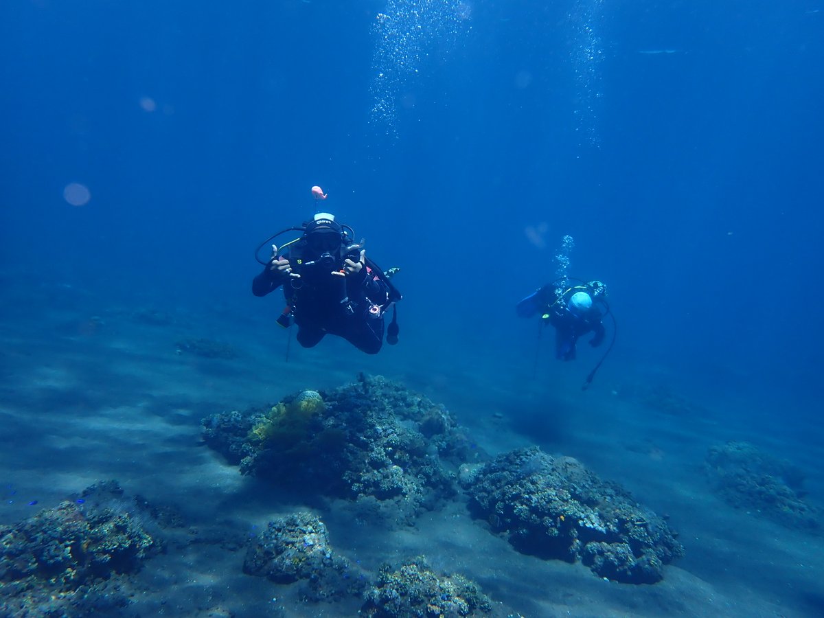enadive's tweet photo. Come enjoy the under water world, book to https://t.co/vJmcQ9ztUQ #divers #divingboat #wreckdive https://t.co/RQxWWRe6LB