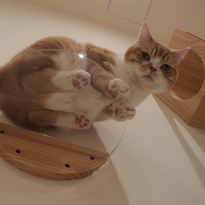 m_01a's tweet photo. #新しいプロフィール画像

なんか知らんけど乗っ取られてた🥹
みんな気をつけて🥹🥹 https://t.co/6eWGkcQXFx