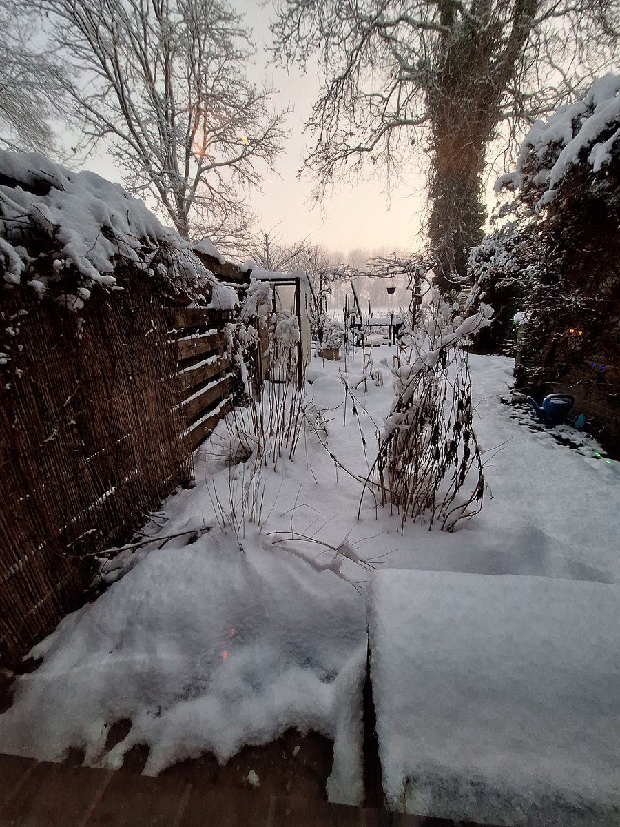 AnneVicky's tweet image. #sneeuwpret #neige goede morgen