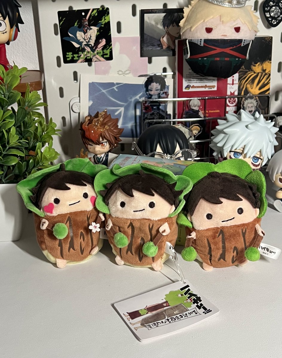 kdhxhzy's tweet image. ย๊ะโฮ~ 🪴🪴🪴