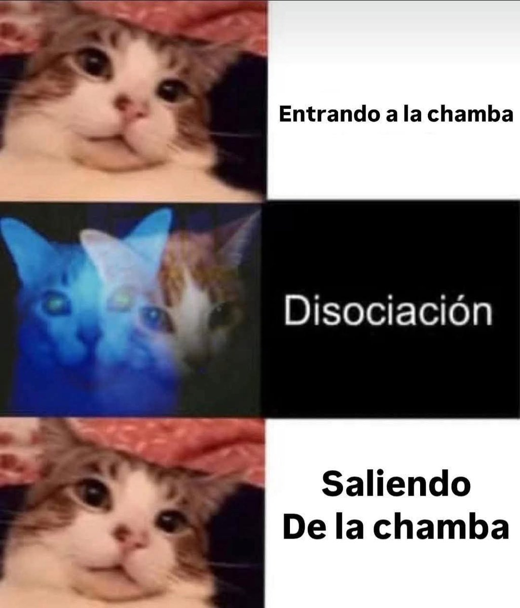 En Júpiter (@en_jupiter_) on Twitter photo 