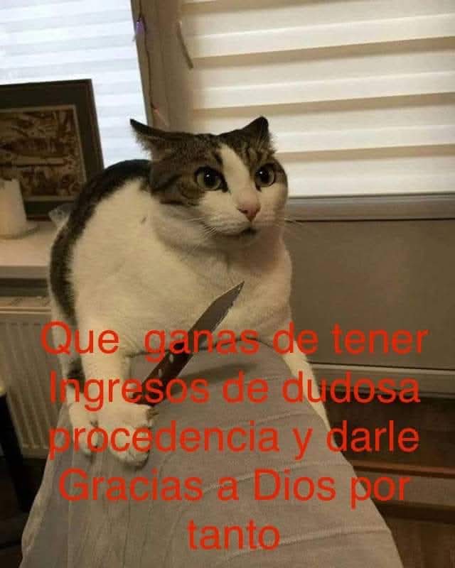 En Júpiter (@en_jupiter_) on Twitter photo 