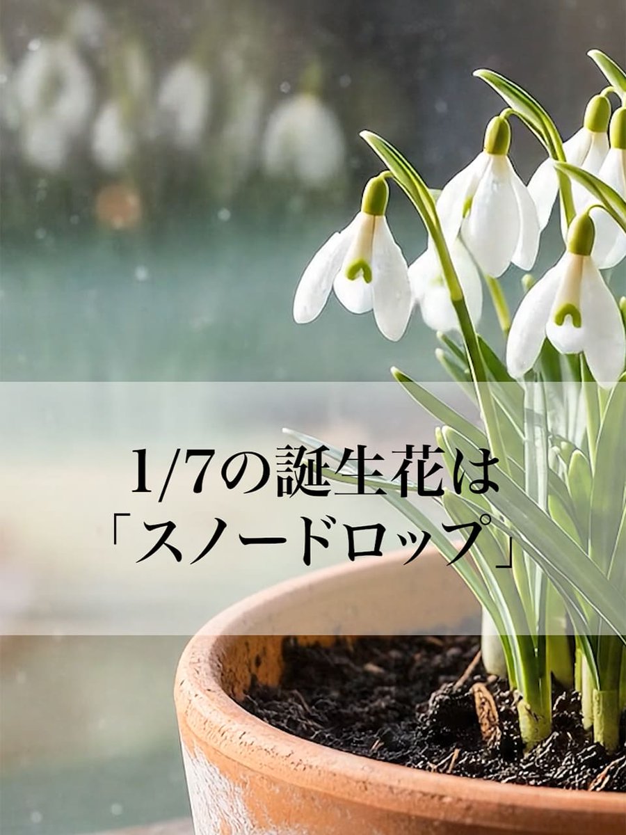 はなしごと🌻 (@hanashigoto87) / Posts / X