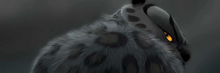 𝙕ugo 🐸 tweet media