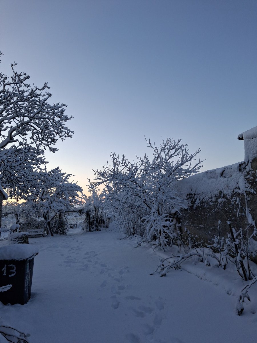 Arespascal's tweet photo. Neige Vendée magnifique ❄️❄️ https://t.co/dM7DHGZeGh