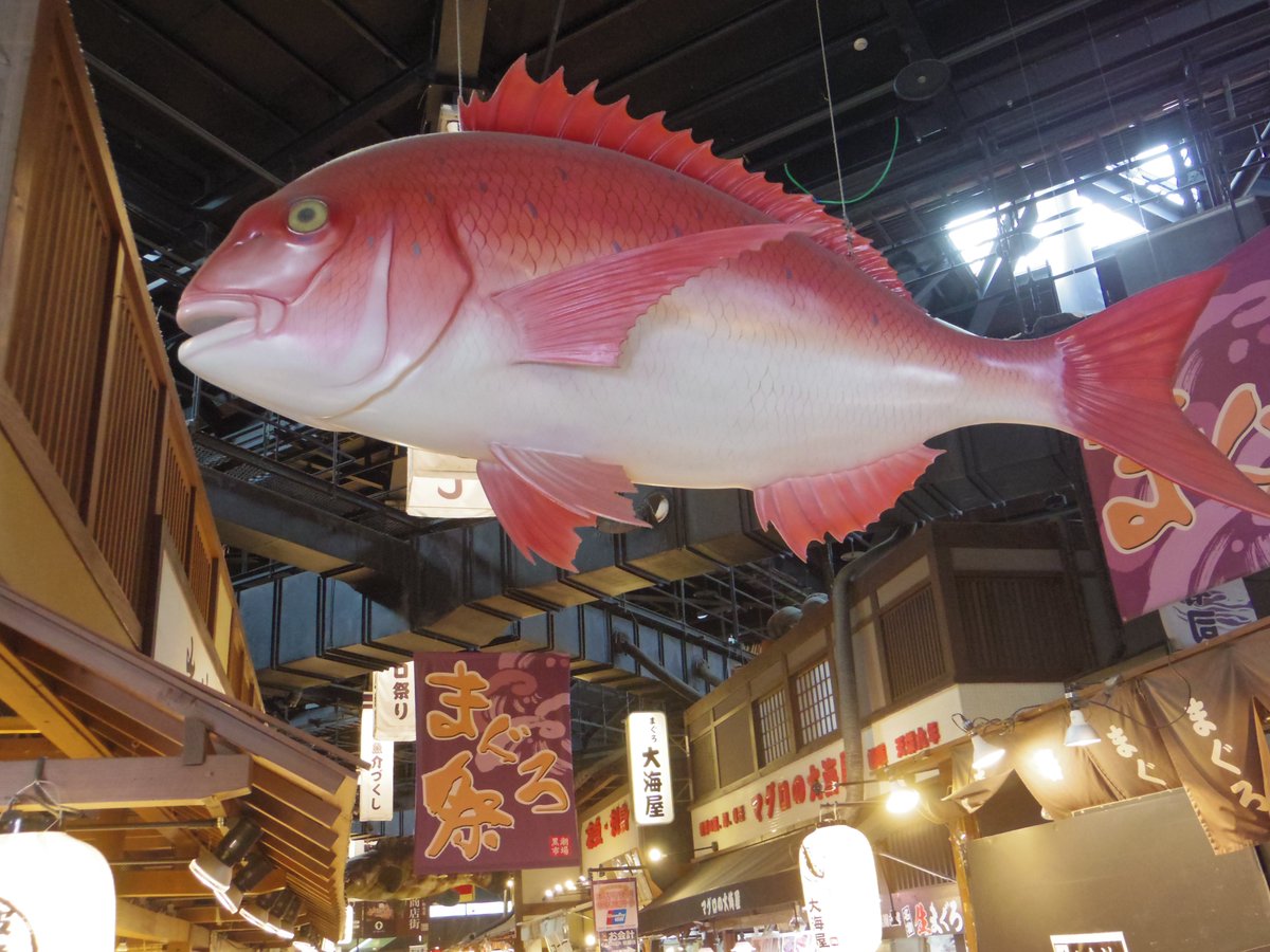 ポルトヨーロッパのお隣に昭和レトロモチーフの黒潮市場 があって新鮮なお魚や和歌山のお土産が買える施設があってそちらも面白かったです。(和歌山ラーメンはここで食べた)時間 によってはマグロの解体ショーもまいにちやっているようです。