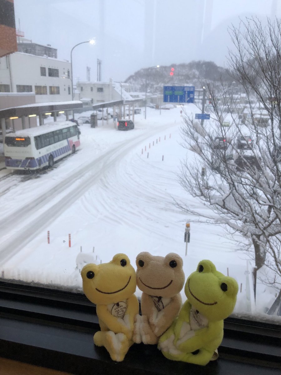 HornSummer's tweet photo. 今日も空港
昨日は秋田上空まで来て名古屋に引き返したらしいけど今日は着陸しそう✈️ https://t.co/XQiaFrUaUu