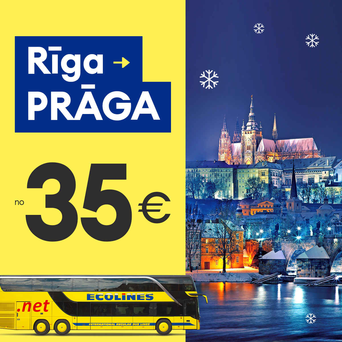 Ecolines tweet media