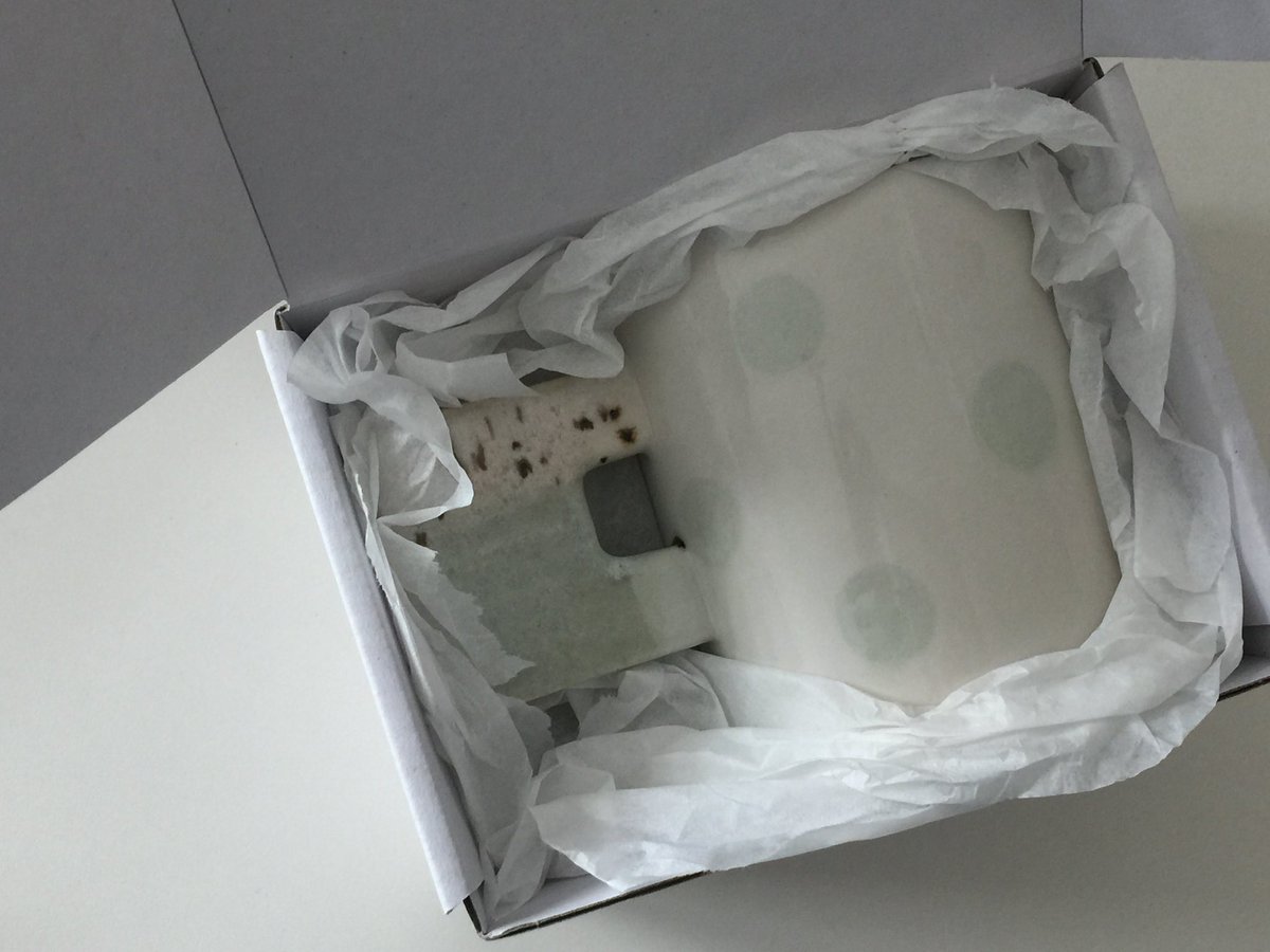 winternugu's tweet image. 완내스｡｡｡  ● ★ ♪