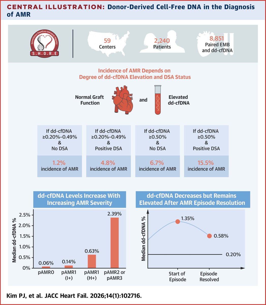 AminYehyaMD's tweet photo. We are getting closer and closer to biopsy free future. Check out latest work in JACC-HF on how #ddcfDNA identifies #AMR, severity, and possible response to therapy. #hearttransplant #rejection #biopsy https://t.co/O70cdHoOYk