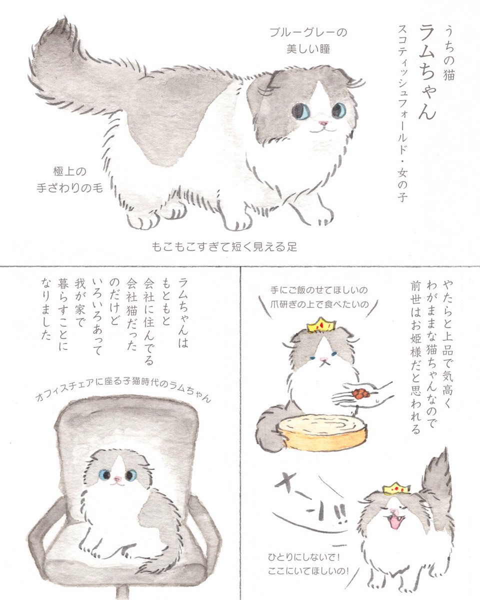 こなつ (@konatsu_tunacan) / Posts / X