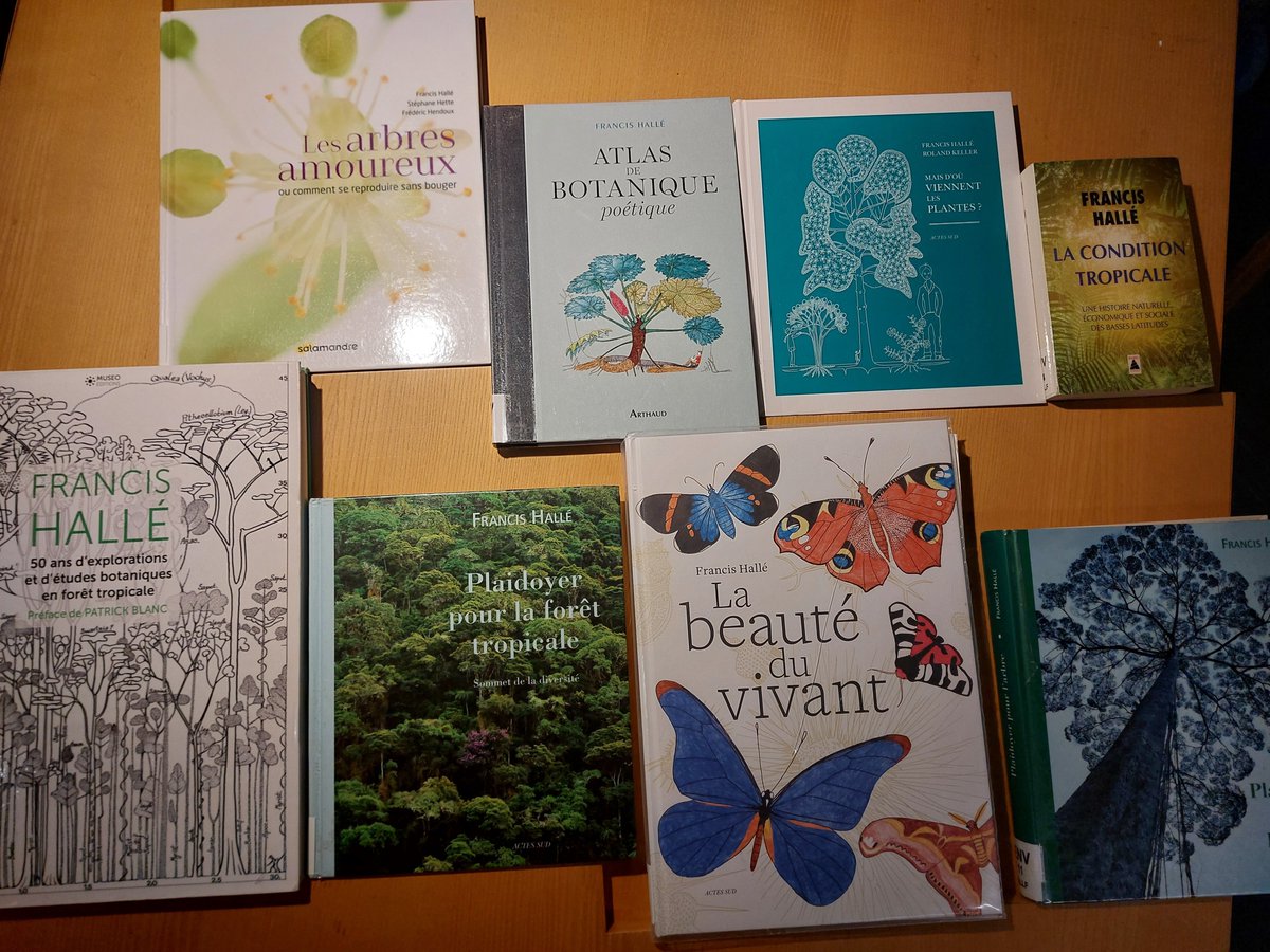 bibliothequeBSI's tweet image. 🌳 Le #botaniste de renommée internationale Francis Hallé s'est éteint le 31 décembre 2025. Nous lui rendons hommage avec une sélection de livres, à consulter sur place ou à emprunter au niveau -1 de la #bibliothèque de la @citedessciences. 📚  

@AssoFHalleForet