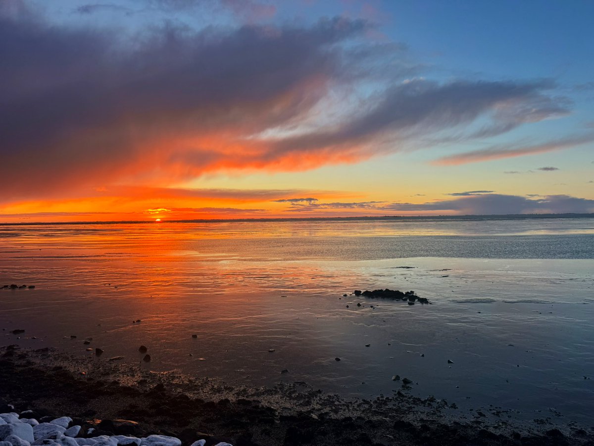 richardtkiewiet tweet media