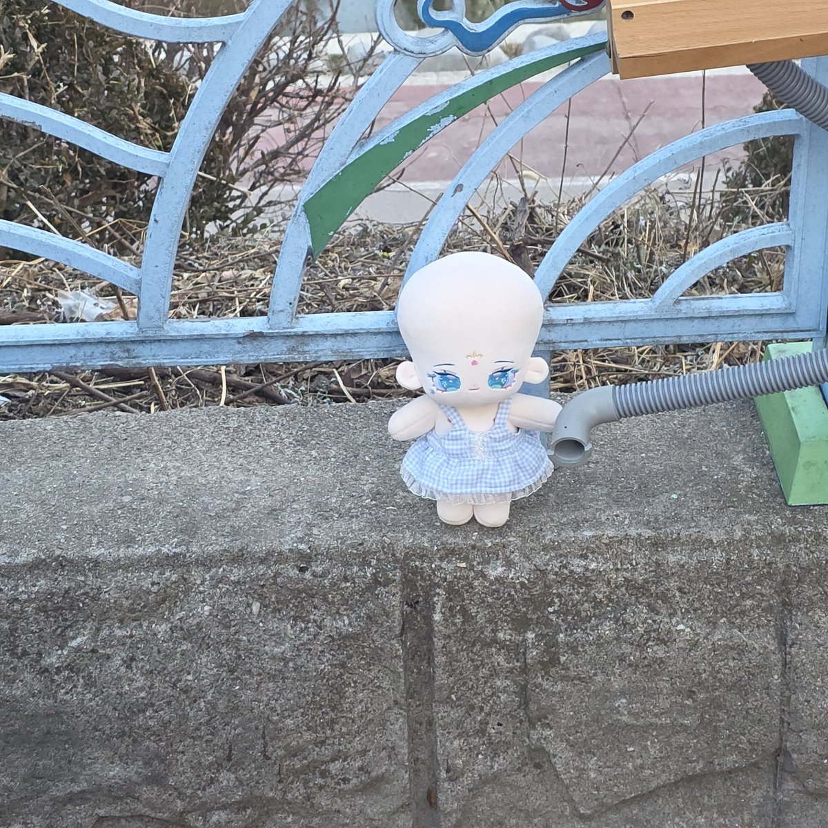 집뒤에 가발깅이 버려져있다...