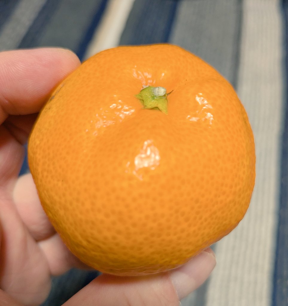 min•*¨*•.¸¸♬︎（感謝） 感謝しています。