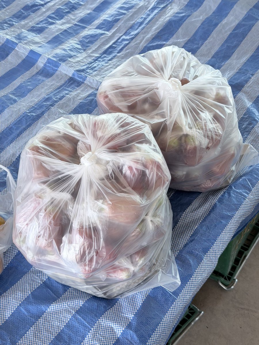 Por_Chalinee's tweet image. เมื่อคุณถูกรักโดยที่ทำงาน อยากกินชมพู่
1 โล ❌
18 โล ✅