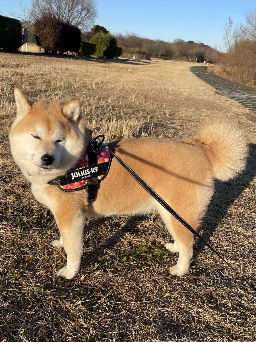 くまごろ (@kumagoro_J) / Posts / X