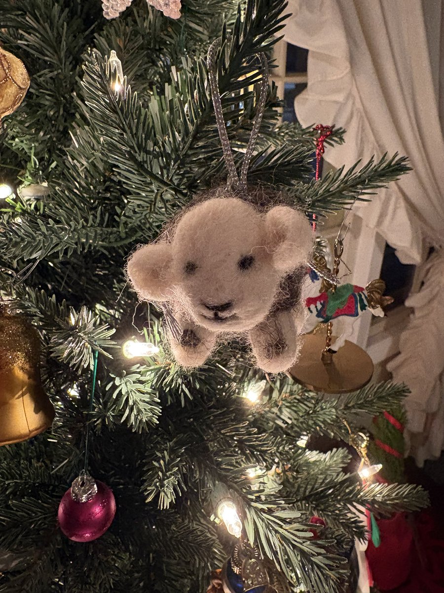 Ruby Slippers tweet media