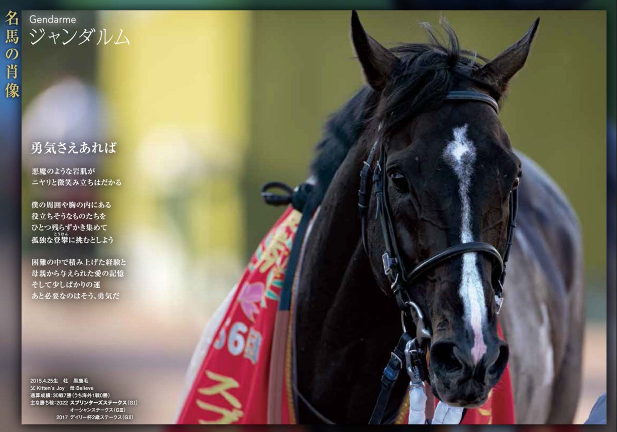 他の方発送× リアリズム　馬の肖像画 他の方発送× リアリズム 馬の肖像画