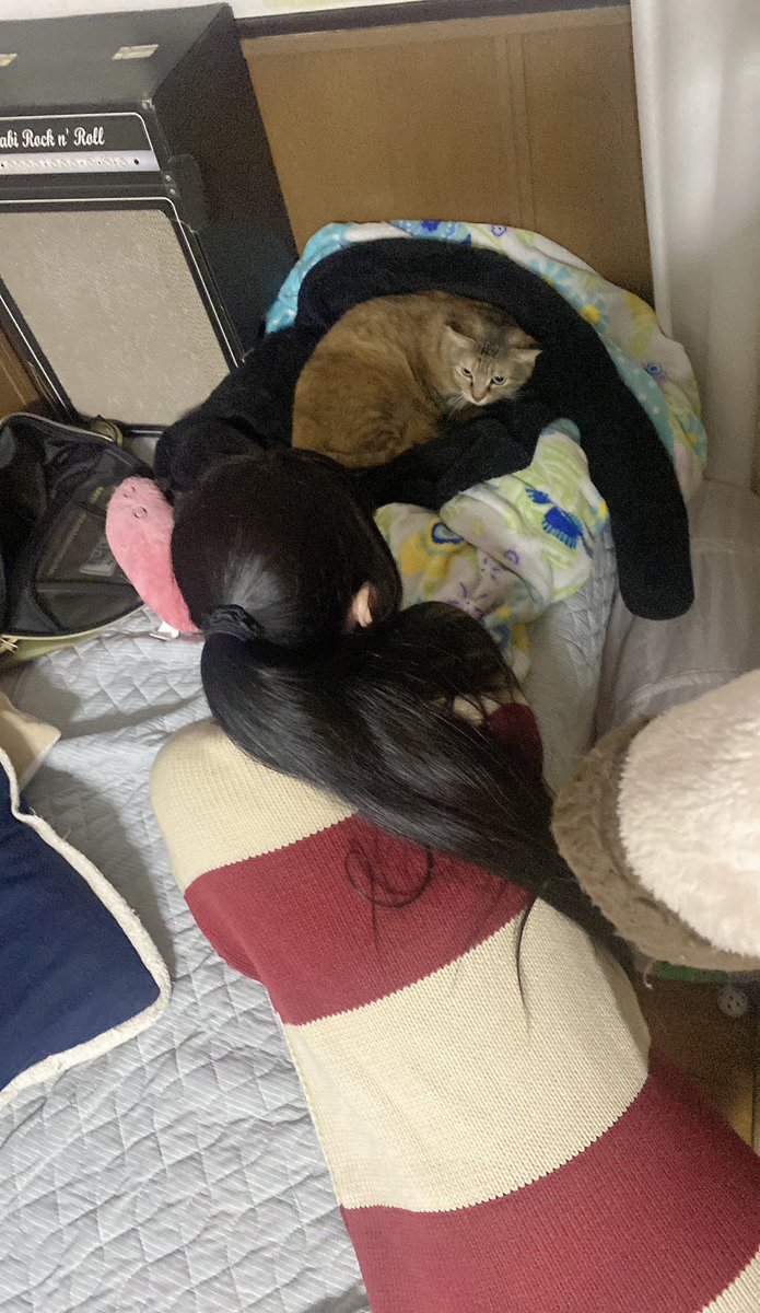 さわちゃんのFIRST CONTACT 2nd albumのBassレコーディングDAY1が終わりました〜🎸✨
今回もスムーズに2,3テイクぐらいで終わりました✨
ドムドムケースのRYUピックに興味深々&amp;わさびタソ様と仲を深めるさわぽさん🐈✨
おつかれさま〜🌟
#1stcontact