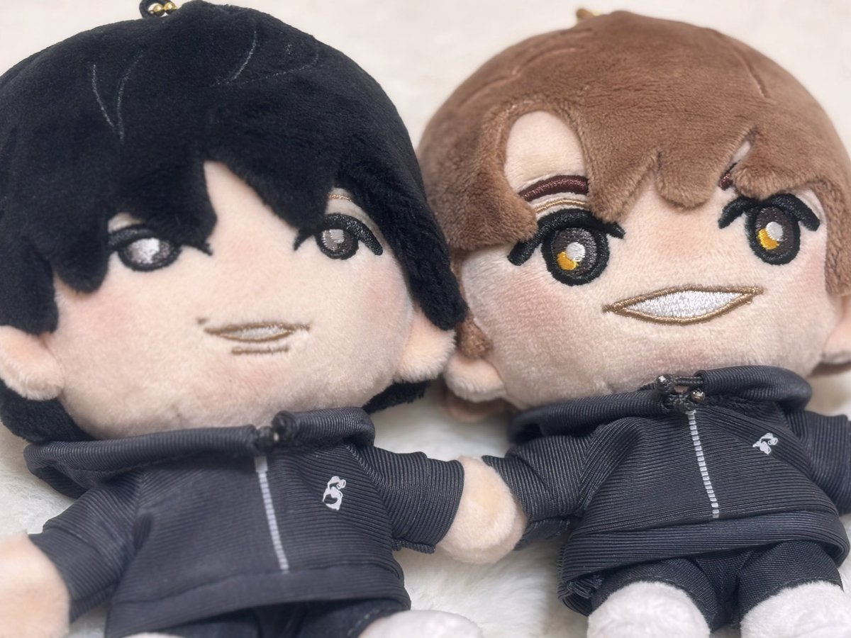 Post by りす組 on X: ぬ🐈‍⬛🐈