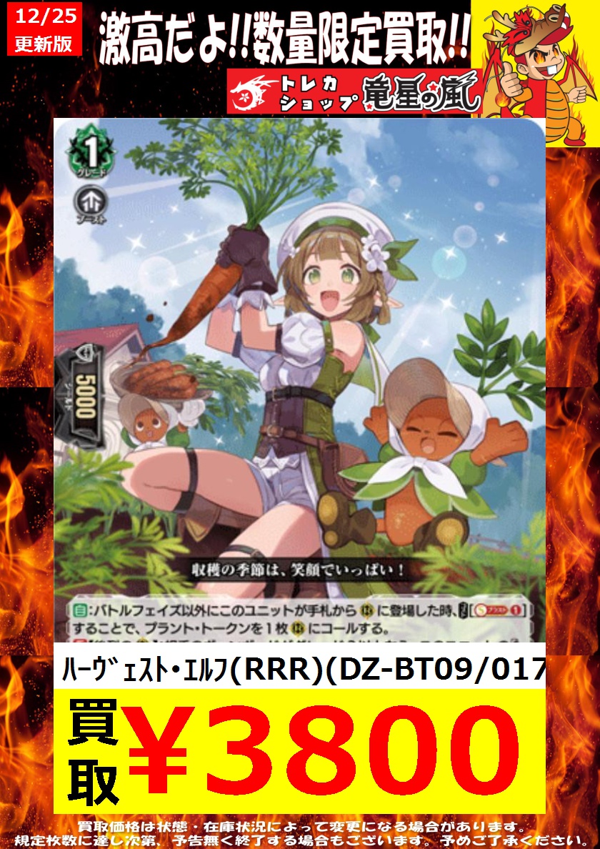 🔥ｳﾞｧﾝｶﾞｰﾄﾞ 高価買取🔥 ⚡( 🔥皿🔥)╮📢≪12/25更新 🌟数量限定