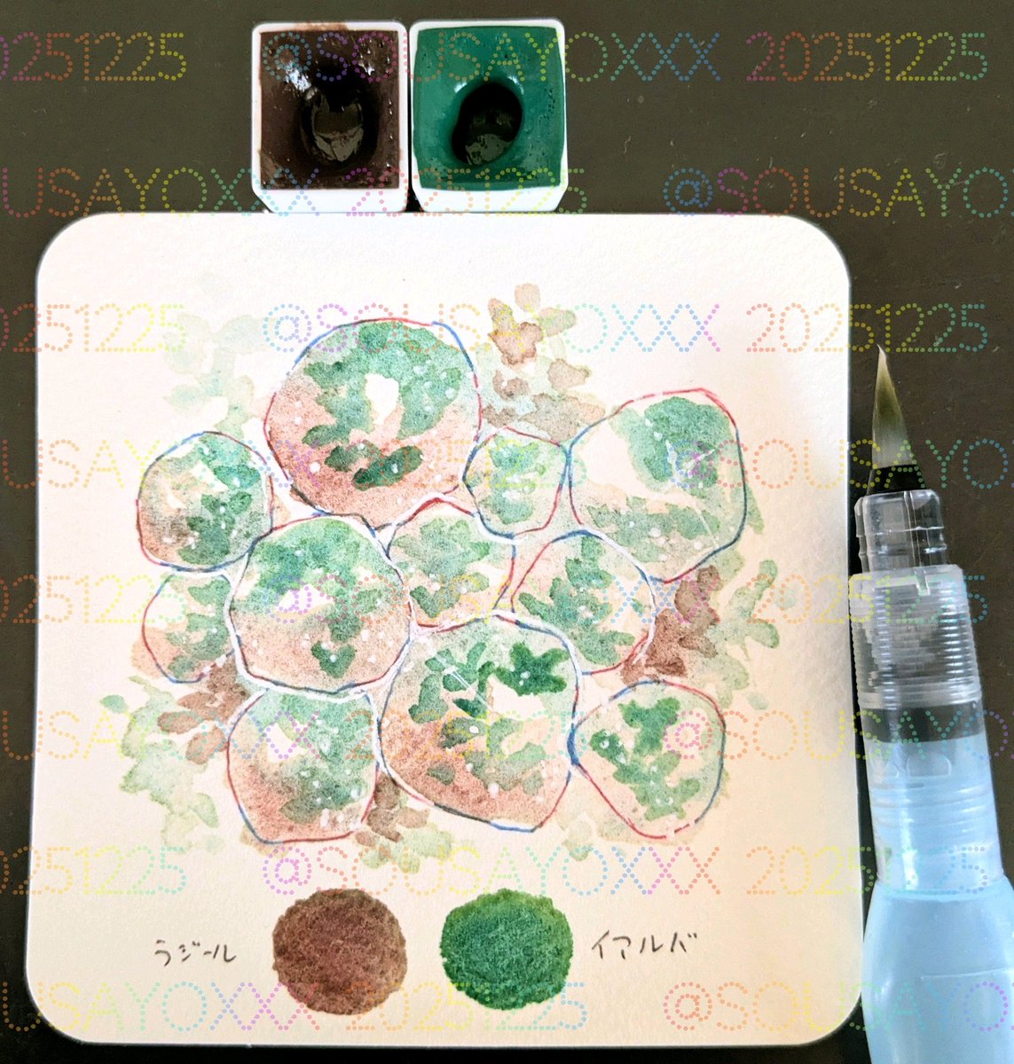 ピカソ様♡専用ページ いますぐ輪廻