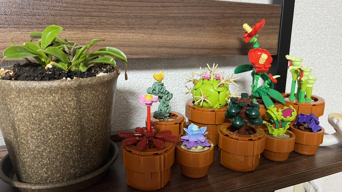 こだま（釣りよかでしょう。） (@ikagamidenai) / Posts / X