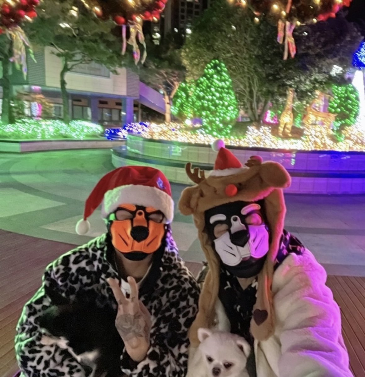 미누_Minu tweet media