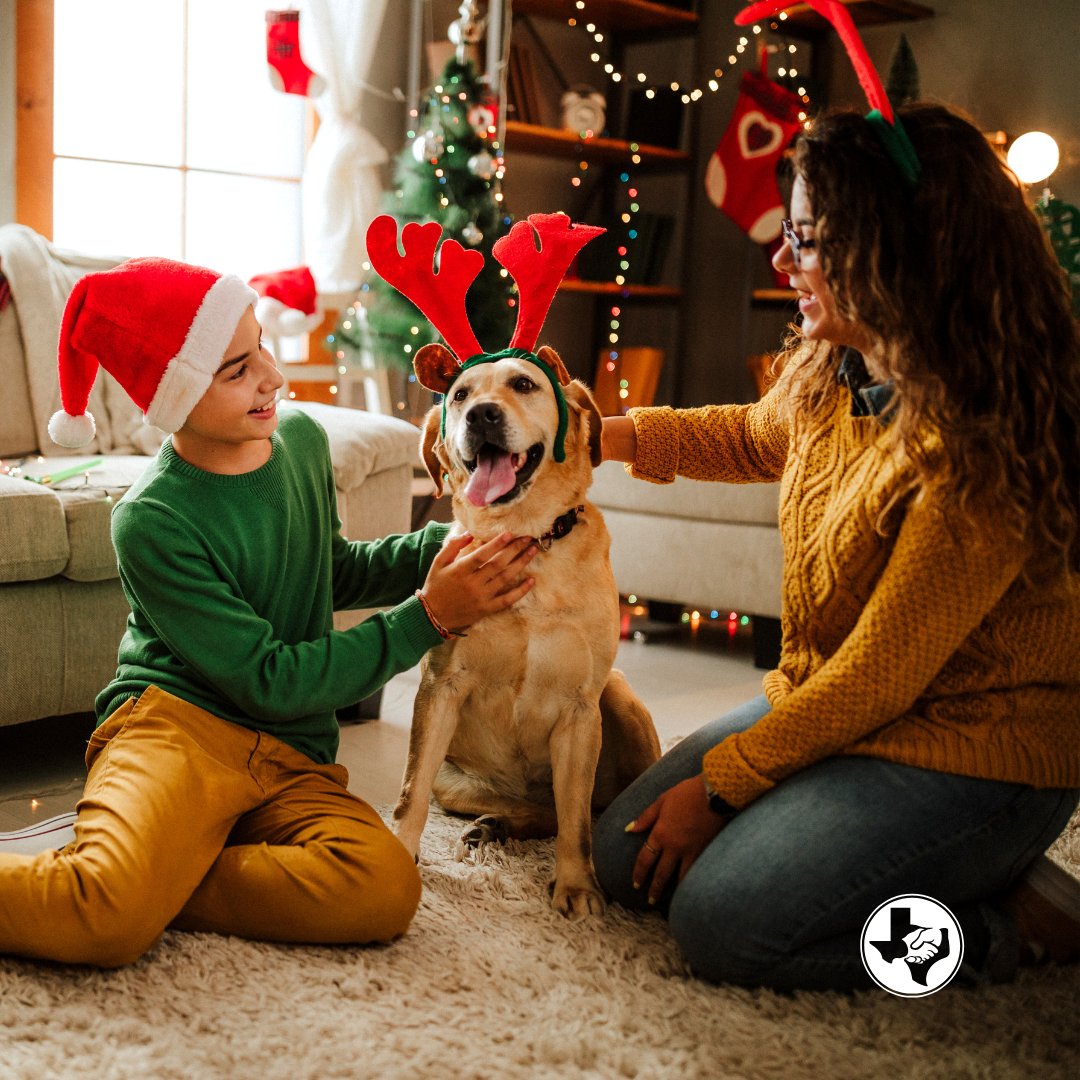 GermaniaIns1896's tweet image. May your day be filled with peace, joy, and cherished moments with loved ones. Thank you for being part of our Germania family—we’re grateful for you today and always. 💚🤝

#GermaniaInsurance #MerryChristmas #TexasStrong