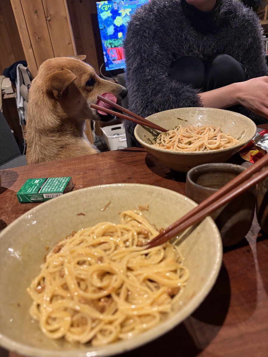 shingo997's tweet photo. 悲報😆
日帰り予定が四泊→雑炊にしていたアンコウ鍋が腐敗して部屋が臭い🤣

鍋の写真は割愛して今夜のご飯！出来合いのパスタにしときます。

ココはシャワーして良い香りになりました😍 https://t.co/3hVCu4PUKO
