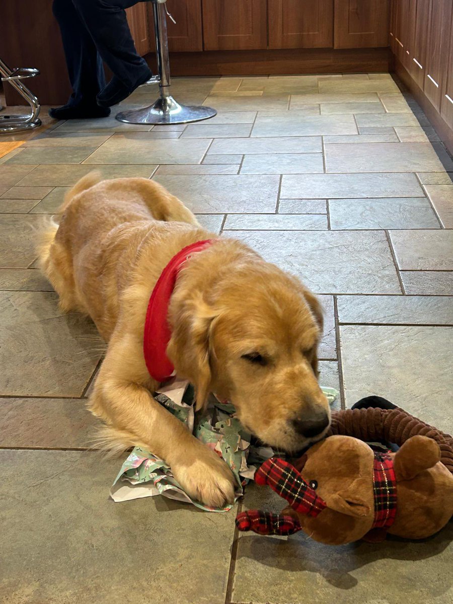 Paul Bush tweet media