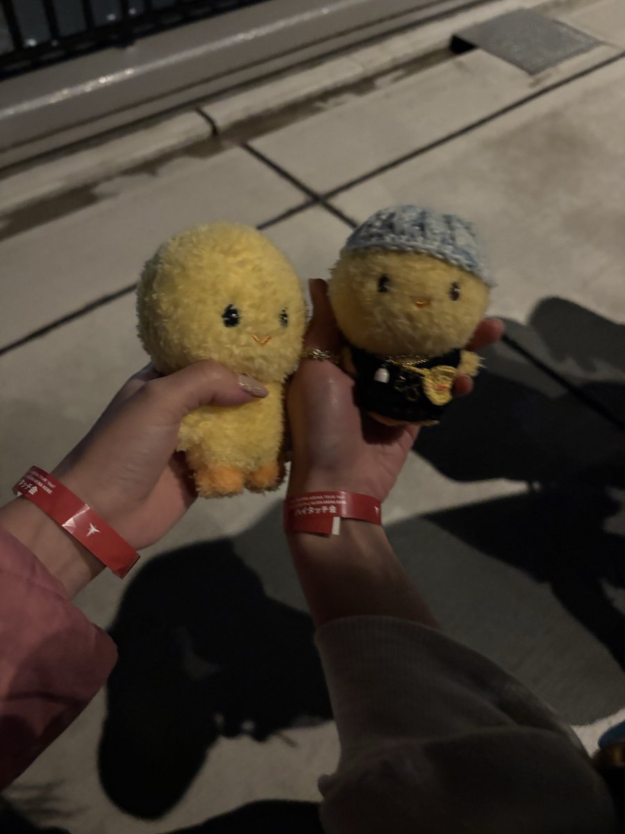 ﾒｲ(ﾋﾂ) tweet media